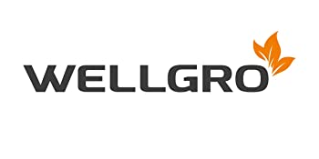 Logo-Wellgro