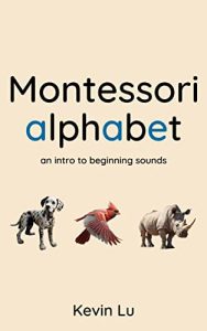 Montessori alphabet an intro to beginning sounds (English
